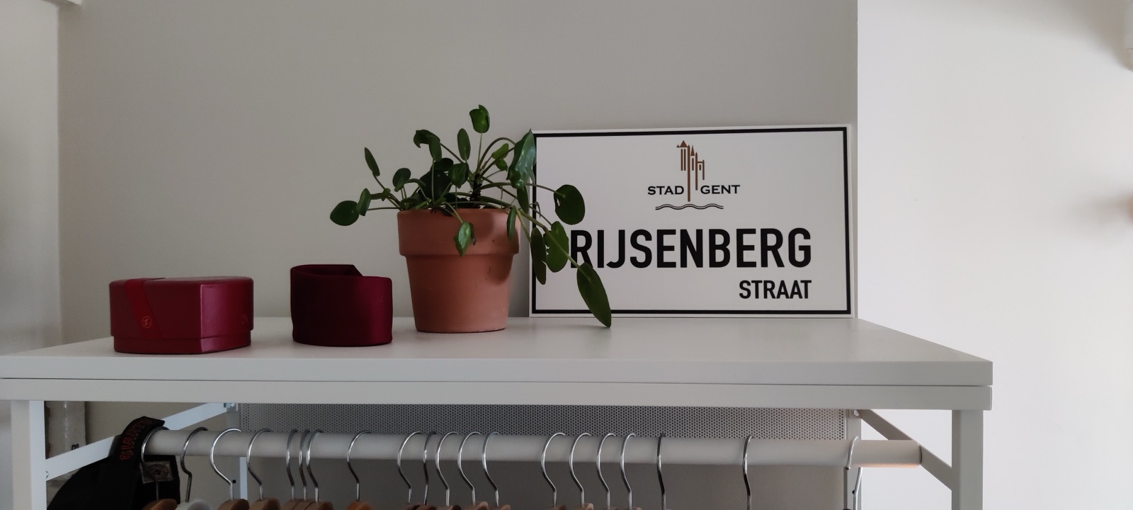 Een replica straatnaambord van de Rijsenbergstraat in Gent, op een kast in een woning naast een plant.